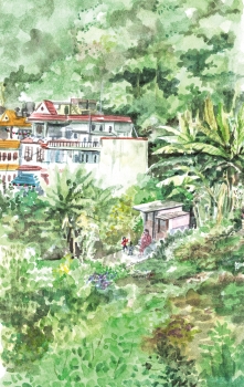 http://www.gawool.com/files/gimgs/th-14_Nepal_pokhara.jpg